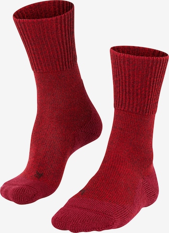FALKE Athletic Socks 'TK1 Adventure Wool' in Red: front
