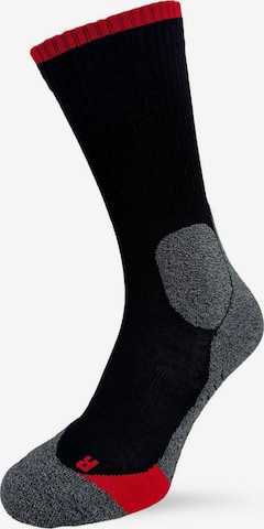LINDNER SOCKS Sukat 'LINDNER® power' värissä musta: etupuoli