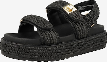 STEVE MADDEN Sandals 'Bigmona' in Black: front