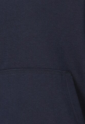 ZigZag Trui 'Arizona' in Blauw