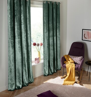 MY HOME Vorhang in Grün: predná strana
