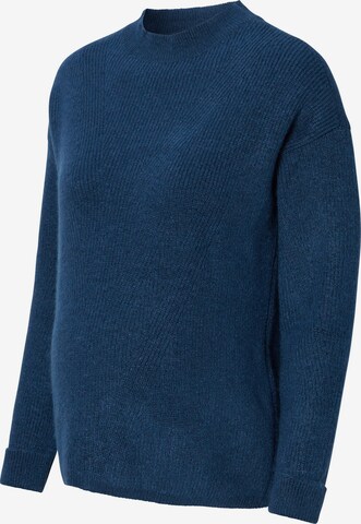 Esprit Maternity Pullover in Blau