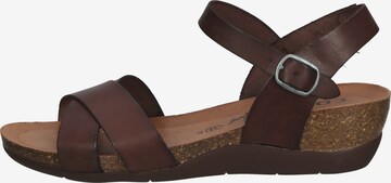 COSMOS COMFORT Strap Sandals in Brown: front