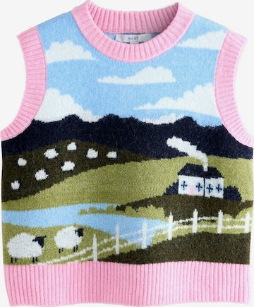 Next Neulepaita värissä monivärinen: etupuoli