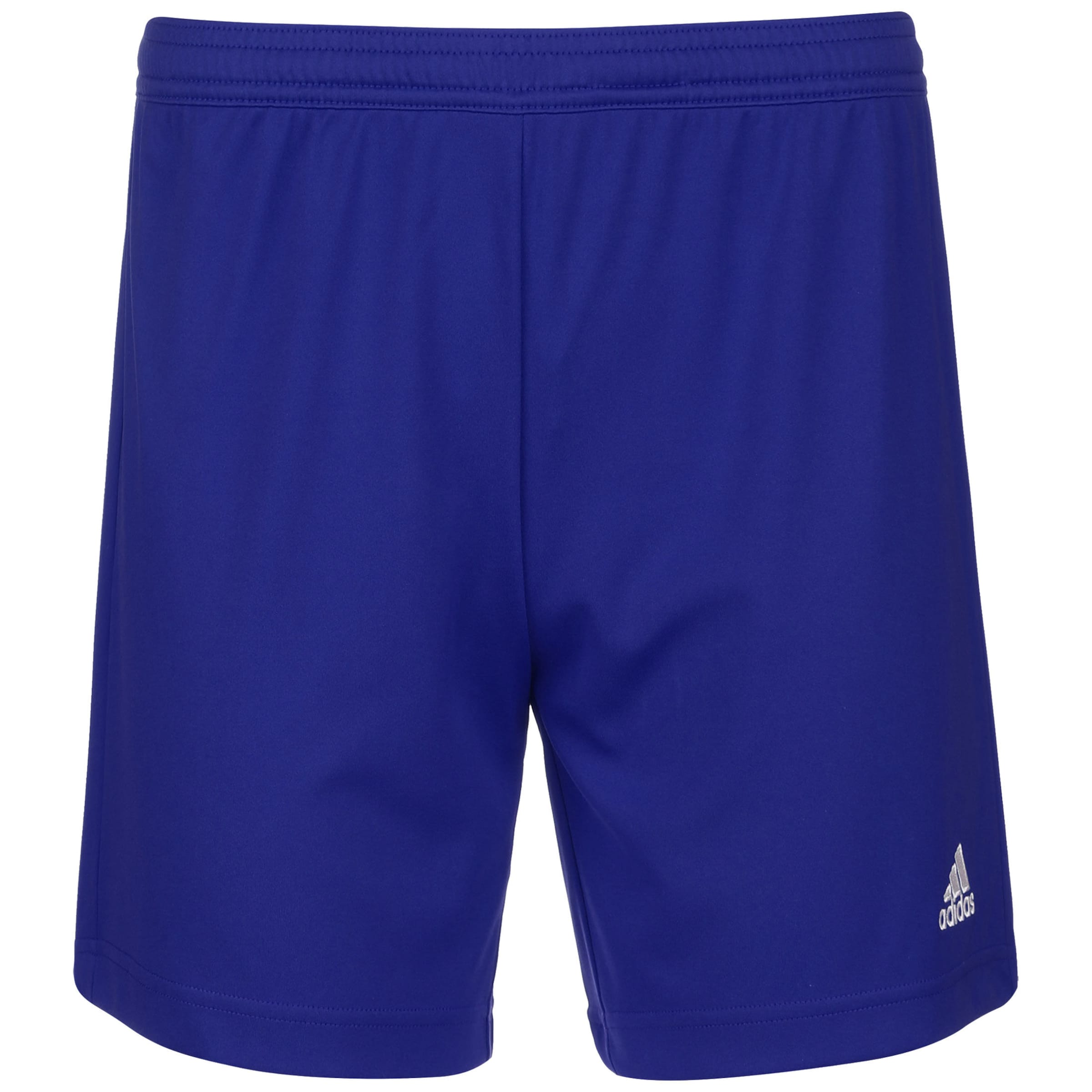 Regular Pantalon de sport 'Entrada 22' ADIDAS PERFORMANCE en bleu : devant