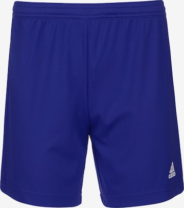 ADIDAS SPORTSWEAR Regular Sports trousers 'Entrada 22' in Blue: front