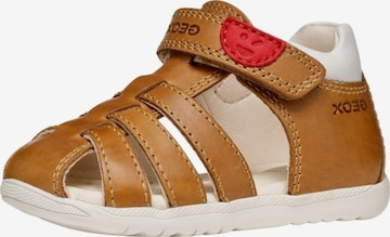 GEOX Open shoes 'Maccnia' in Brown: front