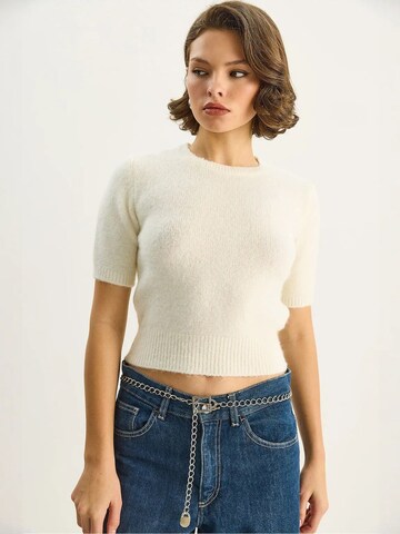 Pullover di Bianco Lucci in beige: frontale