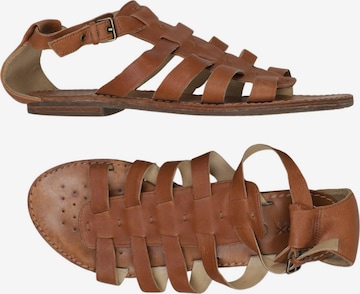GEOX Sandals & High-Heeled Sandals in 39 in Brown: front