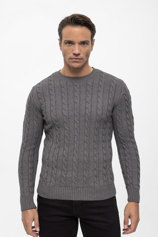 Pull-over Felix Hardy en gris : devant