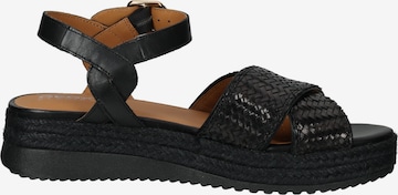 GEOX Sandalen met riem in Zwart