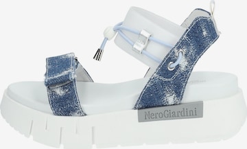 Nero Giardini Sandalen met riem in Blauw