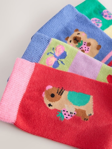 Next Socks in Green