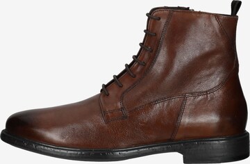 GEOX Lace-Up Boots 'Terence' in Brown