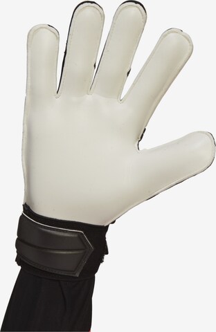 ADIDAS SPORTSWEAR Športne rokavice 'Predator Goalkeeper' | črna barva