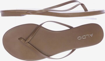 ALDO Sandals & High-Heeled Sandals in 40 in Brown: front