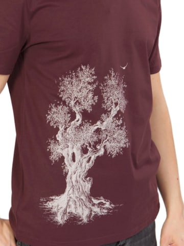 Maglietta 'Organic Fairwear Olive Tree' di Life-Tree in marrone