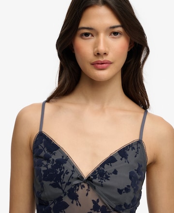 Superdry & Co Top in Blauw