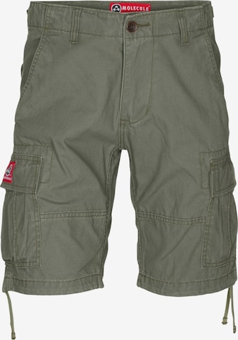 Molecule Cargobukser i grøn: forside