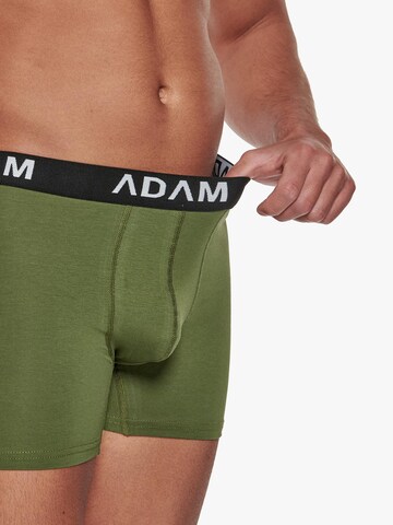 Adam Boxershorts '3er Pack' in Grün