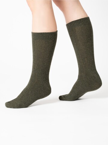 HomeOfSocks Socken 'HOS218' in Grün