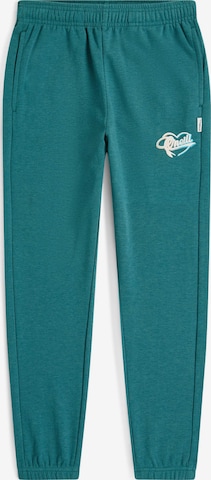 žalia O'NEILL Standartinis Sportinės kelnės: priekis