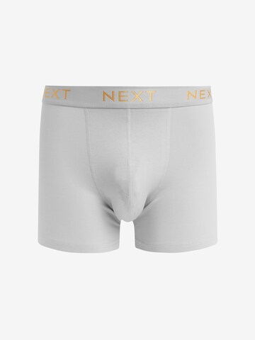 Boxeri de la Next pe albastru