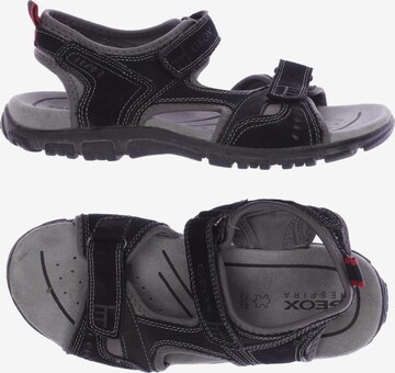 GEOX Sandals & Slippers in 41 in Black: front