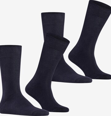 FALKE Socks 'Swing 2-Pack' in Blue: front