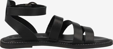 TAMARIS Sandalen met riem in Zwart