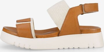 FELMINI Strap Sandals in Brown