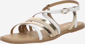 smėlio ABOUT YOU Basutės su dirželiais 'Pelin': priekis