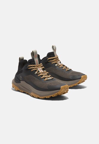 Sneaker bassa di TIMBERLAND in marrone