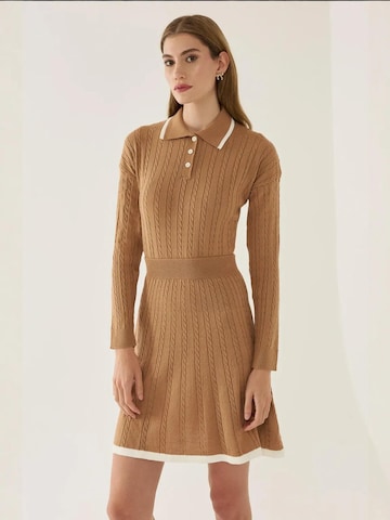 Hiccup Sweater in Brown