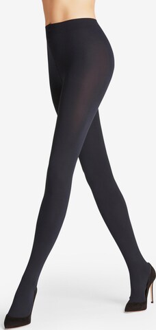 FALKE Strumpfhose 'Pure Matt' in Blau: Vorderseite