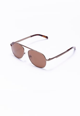 Formula 1 Eyewear Sonnenbrille in Braun: predná strana