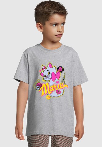 ABSOLUTE CULT T-Shirt in Grau: Vorderseite