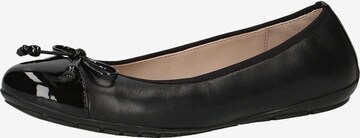 CAPRICE Ballet Flats in Black: front