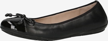 CAPRICE Ballet Flats in Black: front