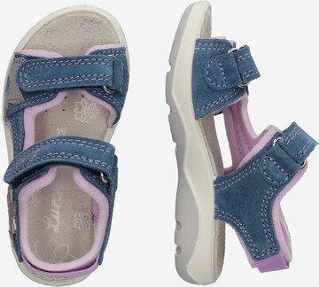 LURCHI Sandal 'Fia' in Blue