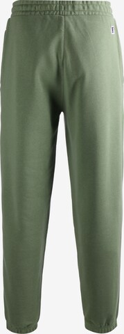 NEW ERA Tapered Pants in Green