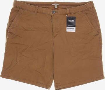EDC BY ESPRIT Shorts in XL in Beige: front