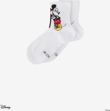 CALZEDONIA Socks in White: front