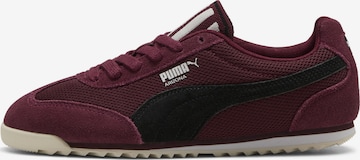 PUMA Sneaker 'Arizona' in Rot: Vorderseite