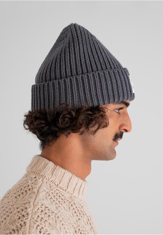 Prohibited Beanie 'Verdant Reverie' in Grey