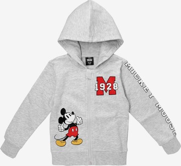 DISNEY Zip-Up Hoodie in Grey: front