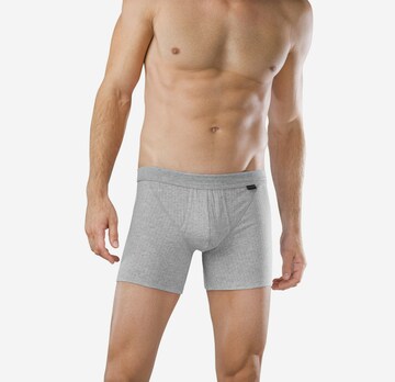 SCHIESSER Boxer shorts in Grey