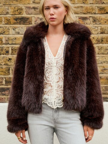 Next Winter jacket in Brown