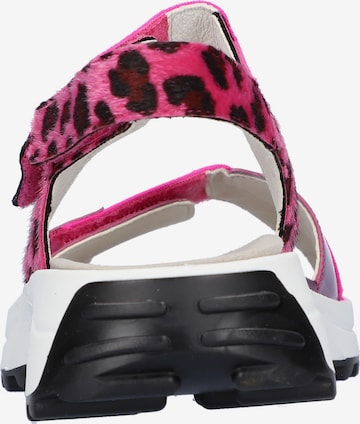 WALDLÄUFER Sandals in Pink