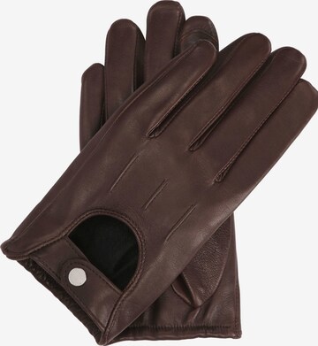 Kazar Full Finger Gloves in Brown: front